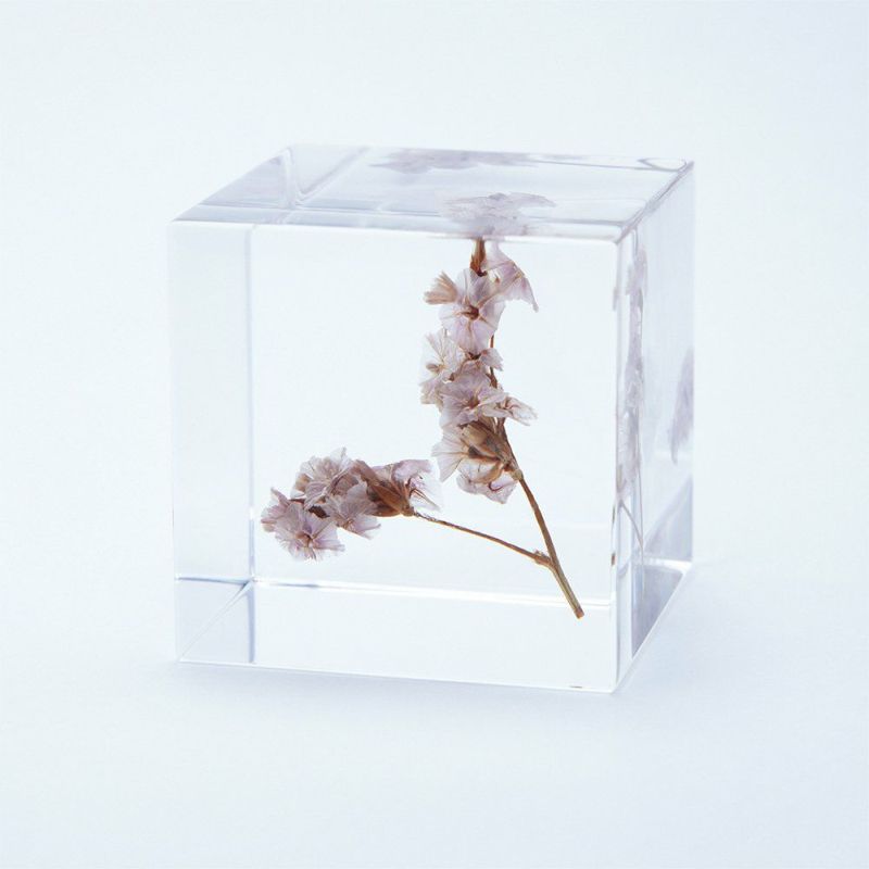 Sola Cube - Sea Lavender