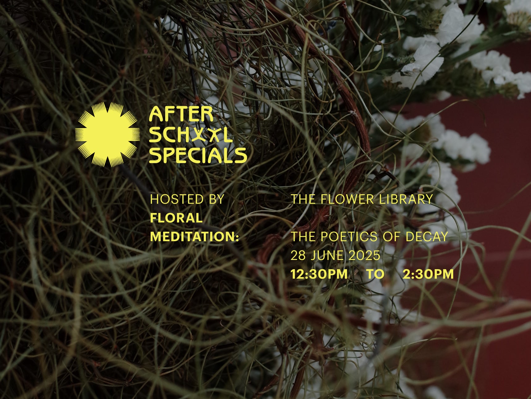 Floral Meditation: The Poetics of Decay