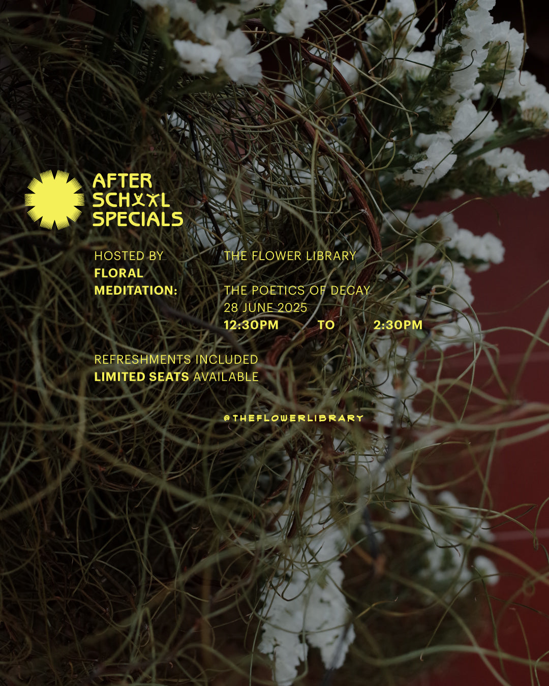 Floral Meditation: The Poetics of Decay