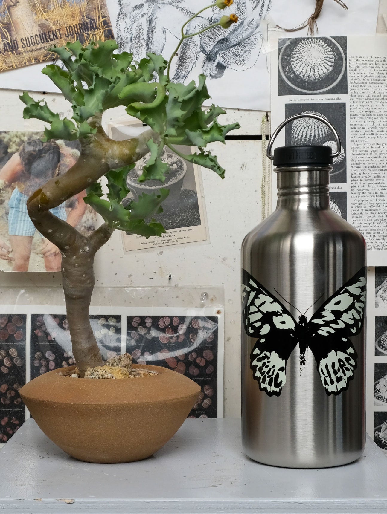 Klean Kanteen Water Vessel: Find Nonhuman Teachers