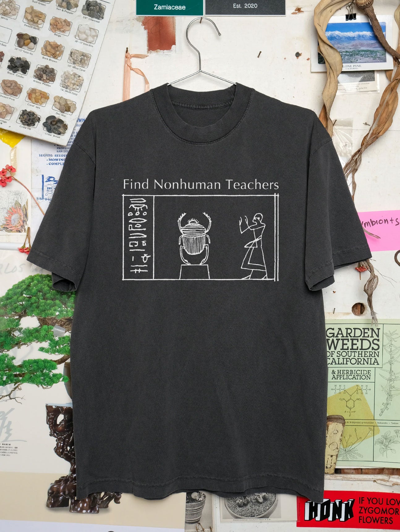Nonhuman Teachers 501 T-Shirt - Washed Black