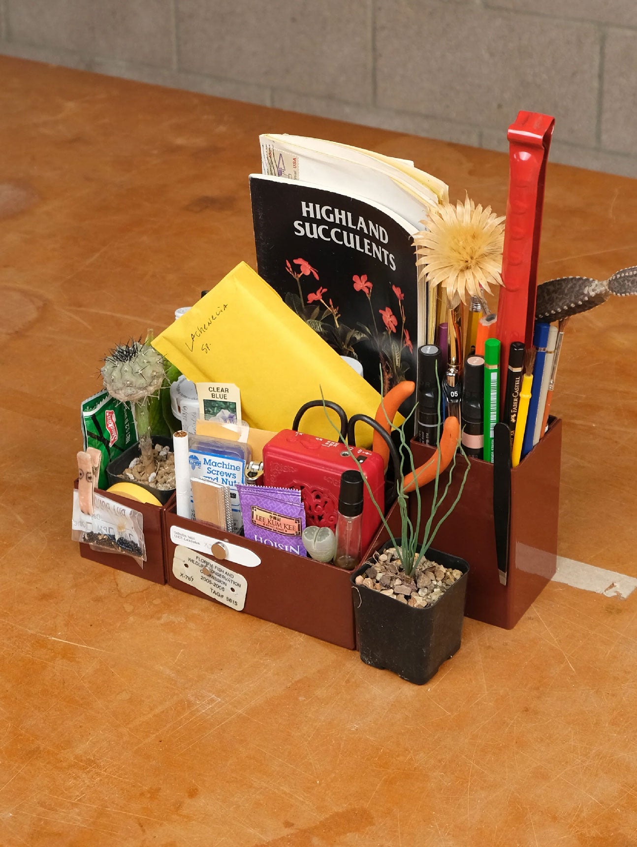 The Sane Makers Organizational System - Ferric Oxide Red