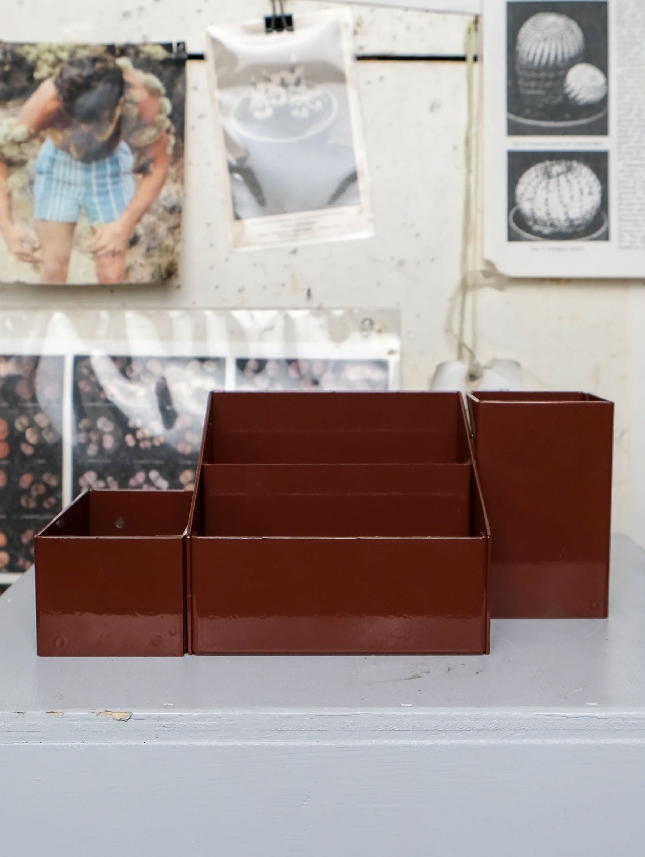 The Sane Makers Organizational System - Ferric Oxide Red