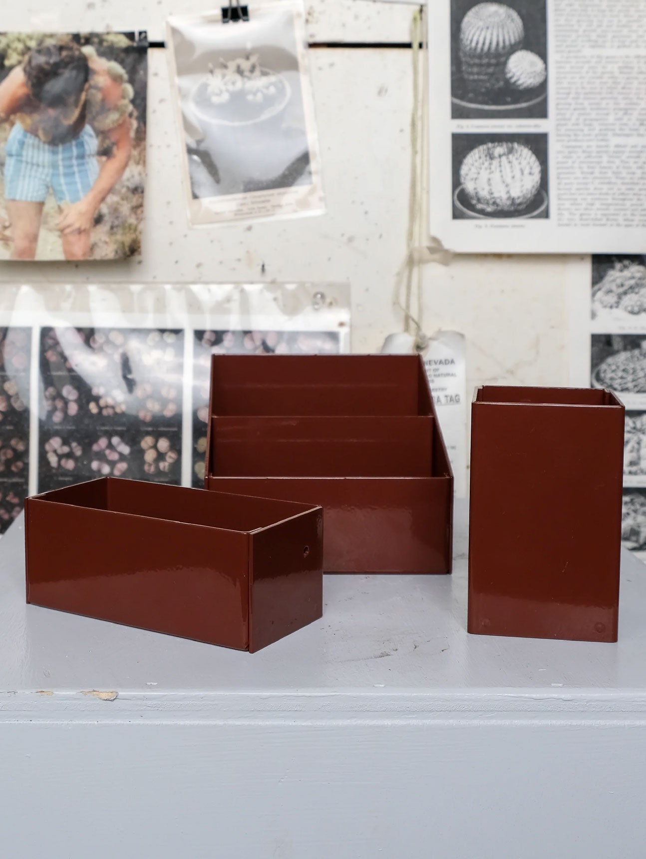 The Sane Makers Organizational System - Ferric Oxide Red