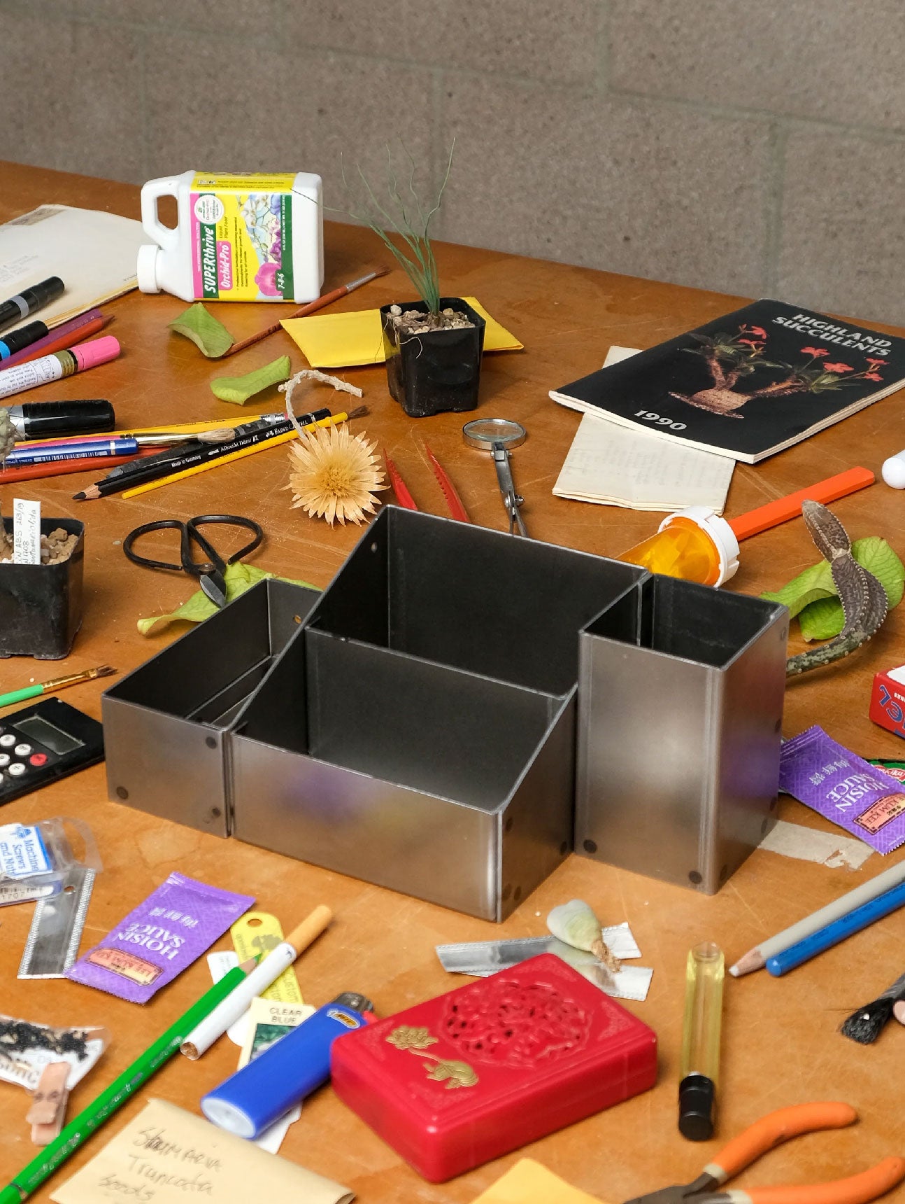 The Sane Makers Organizational System - Steel