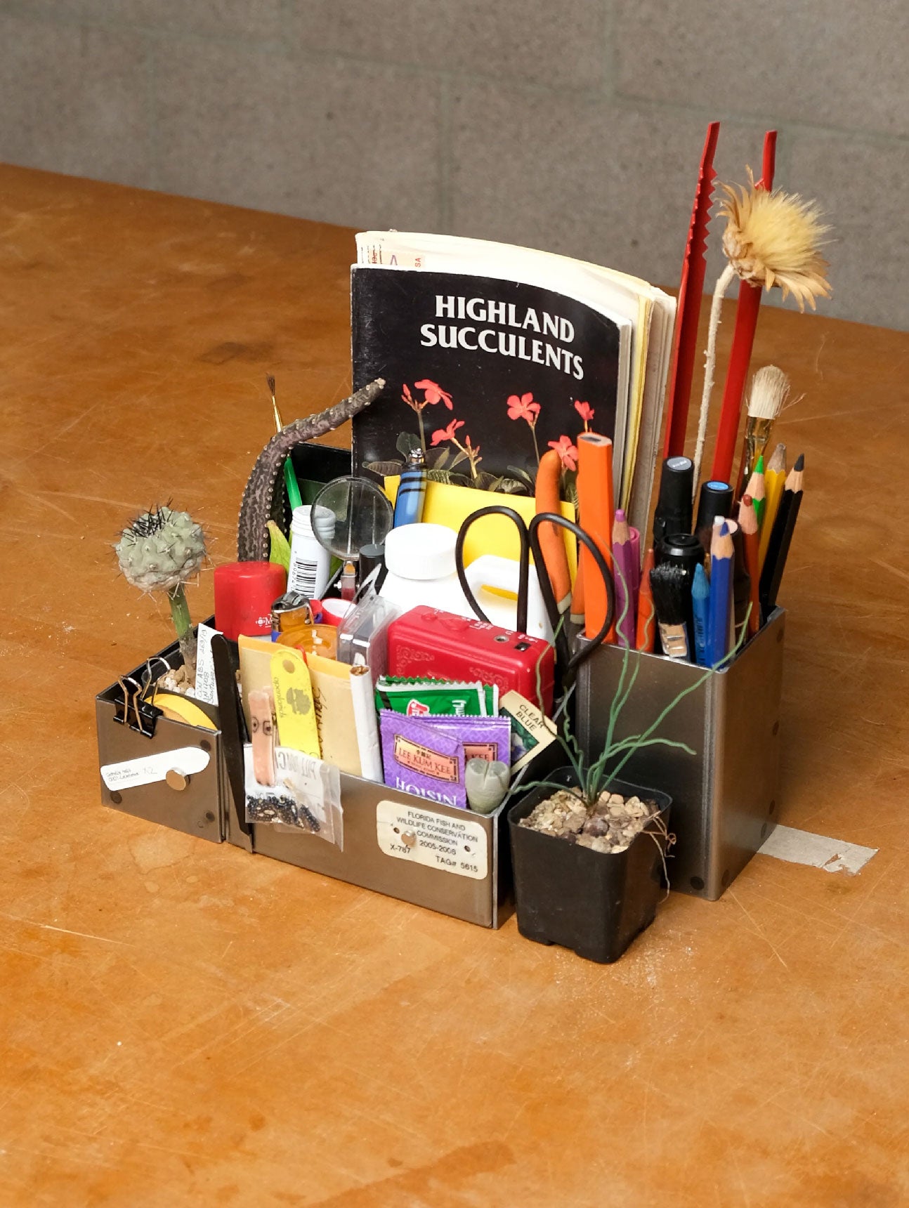 The Sane Makers Organizational System - Steel