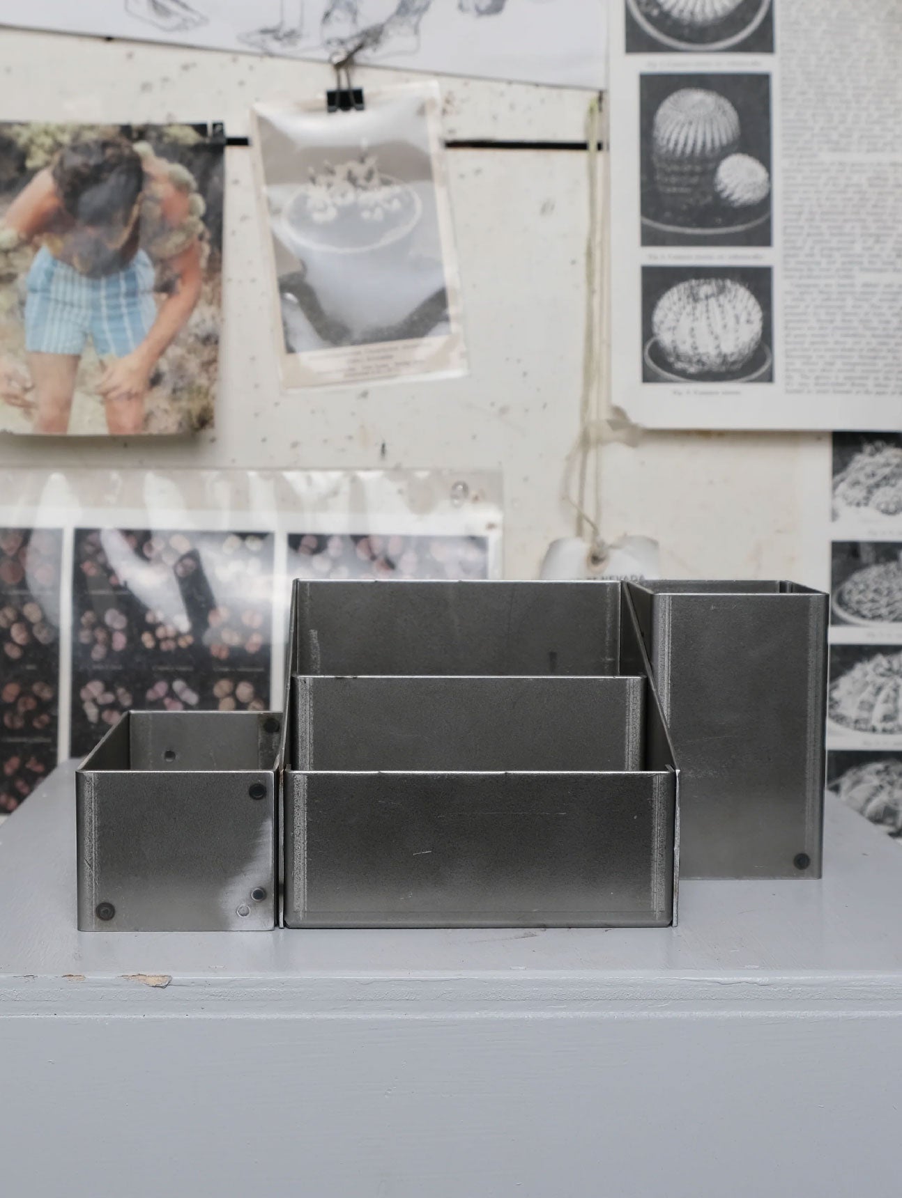The Sane Makers Organizational System - Steel