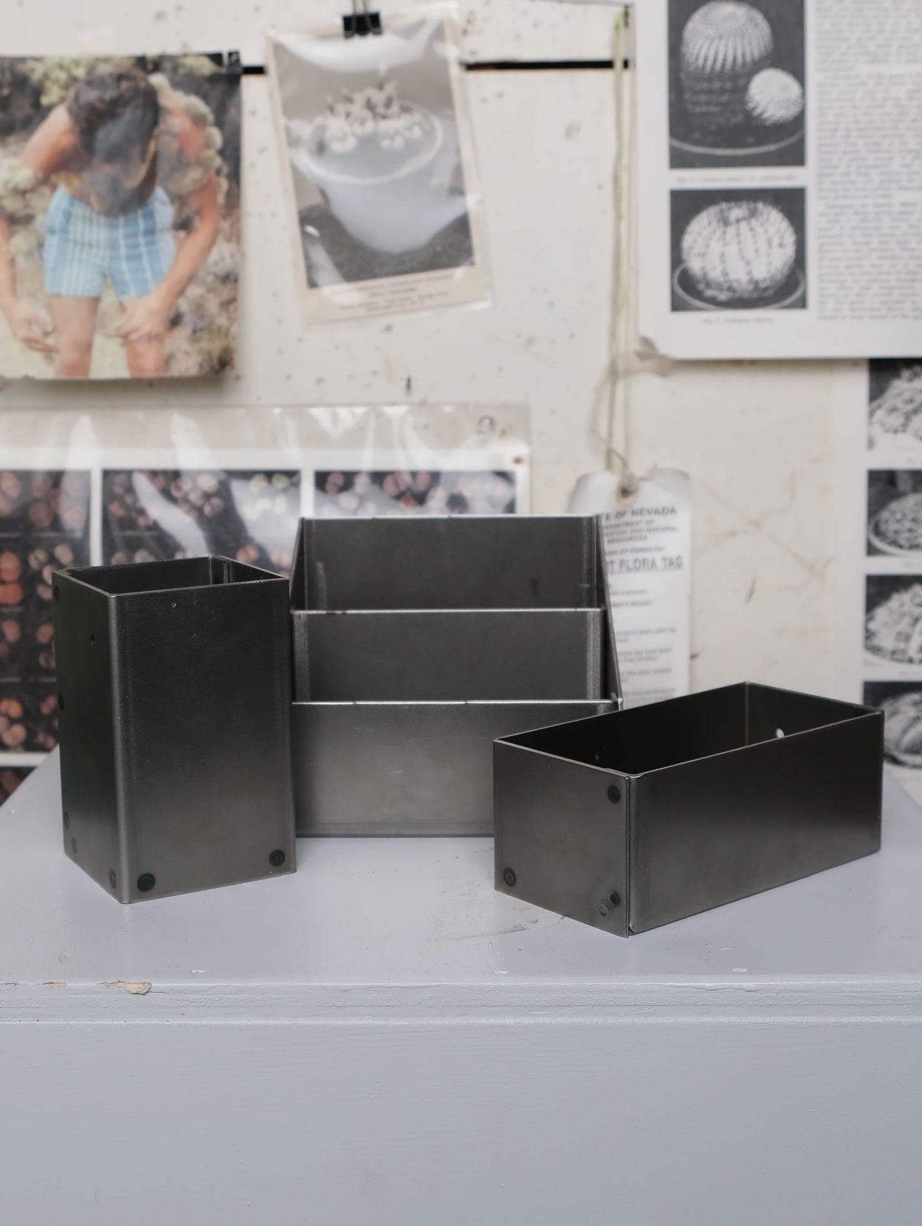 The Sane Makers Organizational System - Steel