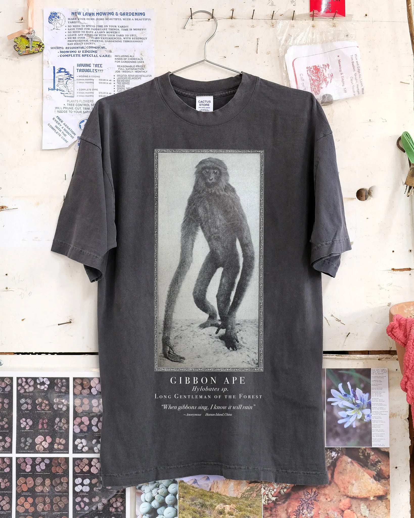When Gibbons Sing T-Shirt - Washed Black