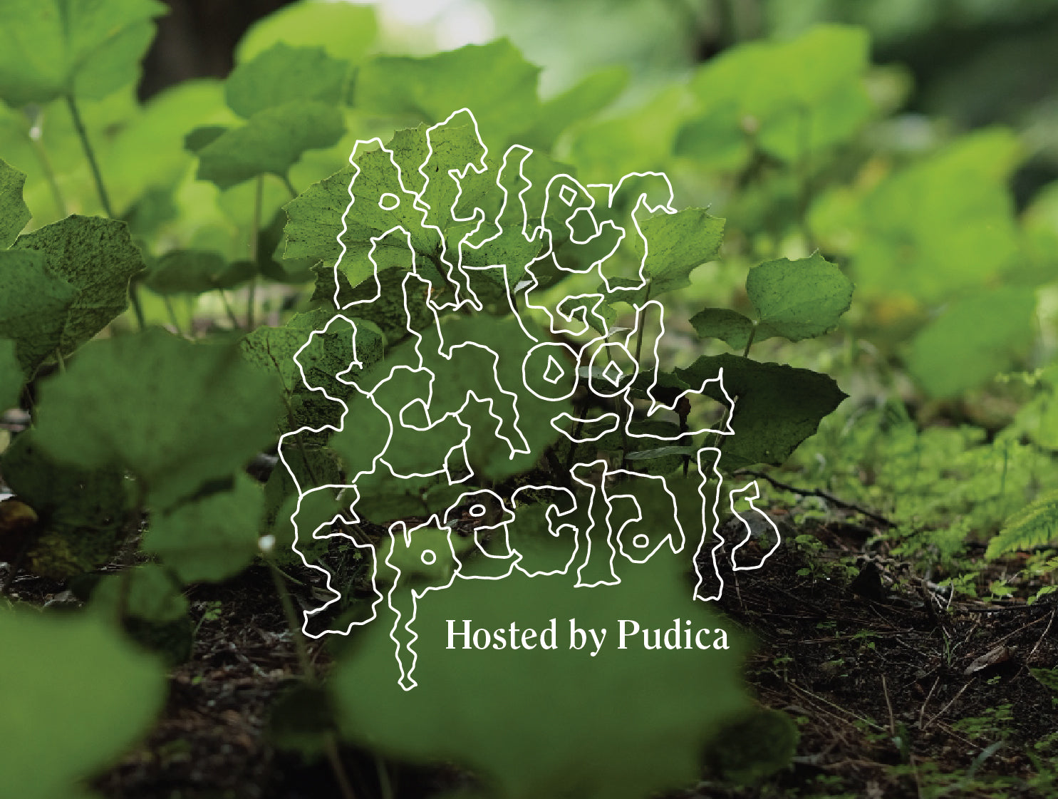 Terrarium Workshop - 1 July 2023, Saturday