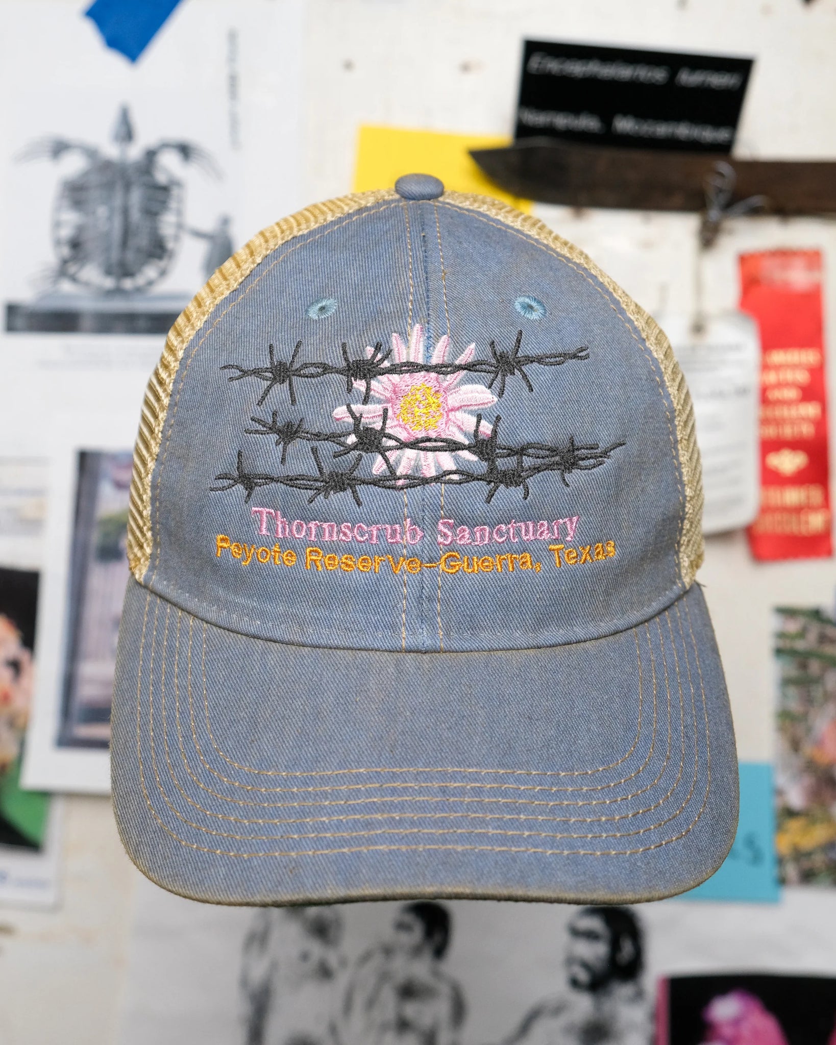 Thornscrub Santuary Hat - Blue